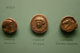 Ancient coins from Syracuse & Carthage in American History Museum. Washington, DC.