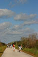 Path through Everglades National Park. FL.