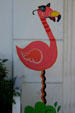 Flamingos. Miami Beach, FL