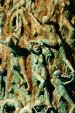 Terror portrayed at Holocaust Memorial. Miami Beach, FL.