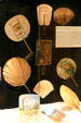 Advertising fans in fan collection of Orange County Regional History Center. Orlando, FL.