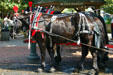 Horse drawn caleches await riders in City Market. Savannah, GA.