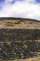 Stone walls of Pu'ukohuta Heiau National Historic Site, north of Kona. Big Island of Hawaii, HI.