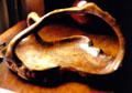 Wooden Bowl from Grove Farm Homestead. Kauai, HI.