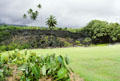 Ancient Hawaiian temple of Pi'ilanihole Heiau at National Tropical Garden at Kahanu. Maui, HI.
