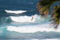 Surfer off Sea Life Park. HI.