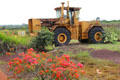 Wheeled tractor at Dole Plantation. HI.