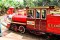 Tour train at Dole Plantation. HI.