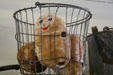 Plush potato toys in harvest basket at Idaho Potato Museum. Blackfoot, ID.