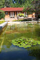 Garden pool at Allen-Lambe House. Wichita, KS.