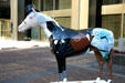 Gallopalooza Sidewalk Derby. Louisville, KY.