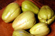 Mirliton squash [aka vegetable pears] at Destrehan Plantation. Destrehan, LA.