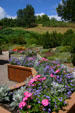 Flower boxes at Hidden Lake Gardens. MI.
