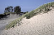 Kids climb sand dune of Sleeping Bear National Park. MI.