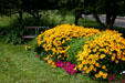 Lawrence-Walker/Zettel house garden. Marshall, MI.