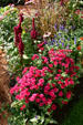 Flower garden. Marshall, MI.
