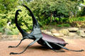 Sculpted beetle at St. Louis Zoo. St Louis, MO.