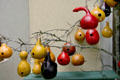Gourd bird houses at Grand Village shopping center. Branson, MO.