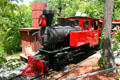 Train ride at Silver Dollar City. Branson, MO.