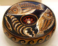 Pottery plate painted with fish from Apulia, Southern Italy at University of Missouri Museum of Art & Archaeology. Columbia, MO