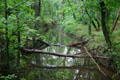 Creek at George Washington Carver's Birthplace National Monument. Diamond, MO.