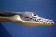 Pleiosaurus model showing teeth at Museum of the Rockies. Bozeman, MT