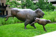 Sculpted bison portray great strength at One First National Center. Omaha, NE