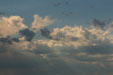 Sky over Nebraska prairie. NE.