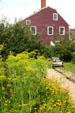 Garden at Strawbery Banke. Portsmouth, NH.