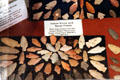 Indian arrow & spear points from U.S. plains at Woodman Museum. Dover, NH.