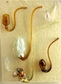 Glass tobacco pipes by workers of Whitall Tatum Co. of Millville, NJ at Museum of American Glass. Milville, NJ.