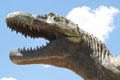 Head of Albertasaurus sculpture by David A. Thomas at New Mexico Museum of Natural History & Science. Albuquerque, NM.