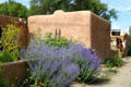 Garden in Ledoux Street Historic District. Taos, NM.