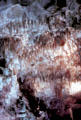 Stalactites in Carlsbad Caverns National Park. NM