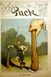 Puck magazine cartoon of Theodore Roosevelt with his big stick in Inaugural Site. Buffalo, NY.