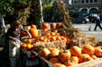 Pumpkins at neighborhood market. Buffalo, NY.