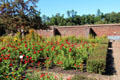 Flowers in Fort Ticonderoga Garrison Gardens. Ticonderoga, NY.