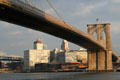 Brooklyn buildings under Brooklyn Bridge. New York, NY.
