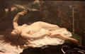 Women with a Parrot painting by Gustave Courbet at Metropolitan Museum of Art. New York, NY.