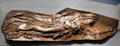 Victory figure from Robert Gould Shaw Memorial by Augustus Saint-Gaudens at Brooklyn Museum. Brooklyn, NY.