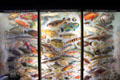 Specimen fish with original colors replicated by an expedition artist in Hall of Fishers at Vanderbilt Mansion. Centerport, NY