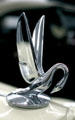 Art Deco 1937 Packard Coupe hood ornament in shape of swan at Packard Museum. Warren, OH.