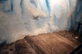 Display of how glaciers grooved limestone bedrock at Cleveland Museum of Natural History. Cleveland, OH.