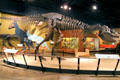 Tyrannosaurus rex cast skeleton at Cleveland Museum of Natural History. Cleveland, OH.