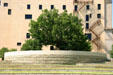 Memorial tree of gratitude to those who helped bombing victims at Oklahoma City National Memorial. Oklahoma City, OK.