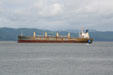 Freighter on Columbia River. Astoria, OR.