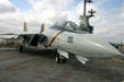 F-14 Tomcat jet fighter on USS Lexington. Corpus Christi, TX.