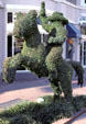 Topiary cut like cowboy on horse. Fort Worth, TX.