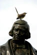 Mockingbird sits on head of statue of William Marsh Rice at Rice University. Houston, TX.