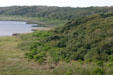Forests at Aransas National Wildlife Refuge. TX.